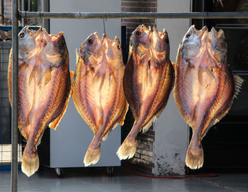 Close-up of fish on barbecue grill