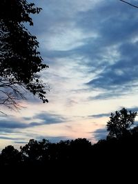 Silhouette of trees at sunset