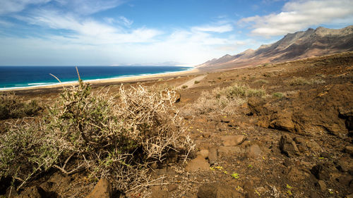 Scenic view of beach against sky