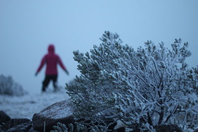 winter
