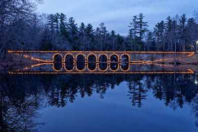 Reflection of trees in water