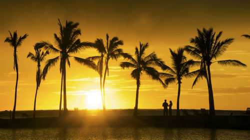Silhouette palm trees at sunset