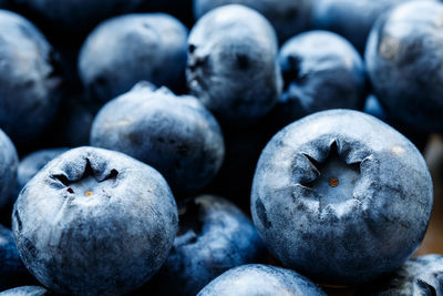 Close-up of fruits for sale