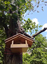 Low angle view of bee on tree against sky