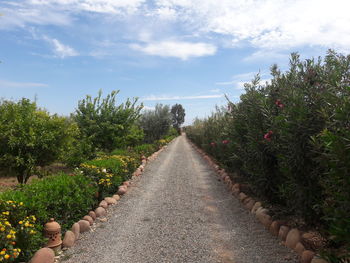 Dirt road amidst plants in park against sky