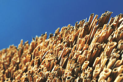Low angle view of straws against clear blue sky