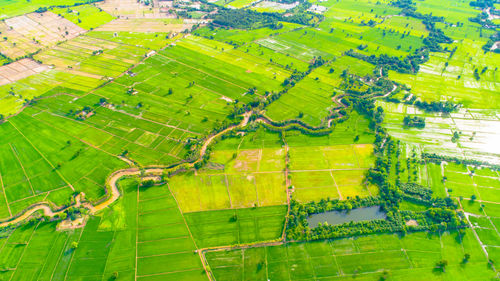 Scenic view of agricultural field