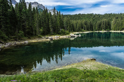 Scenic view of lake in forest against sky