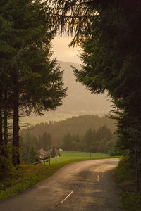 Empty road amidst trees against sky