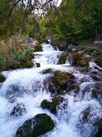 Stream flowing through rocks in forest