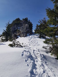 Trees on snow covered field against sky