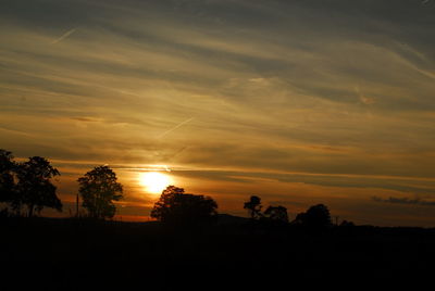 Silhouette of trees on landscape at sunset