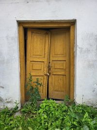 Closed door of old building