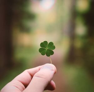 Close-up of hand holding clover