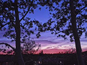Low angle view of silhouette trees against sky at sunset