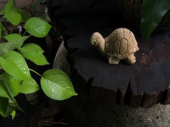 High angle view of plants against blurred background