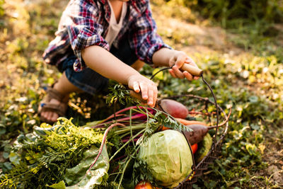 Midsection of person holding corn on field