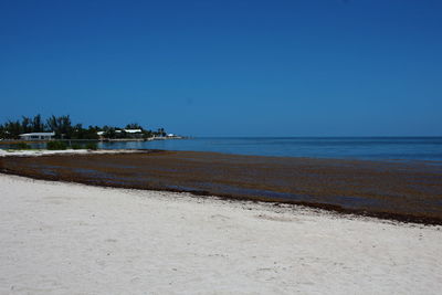 Scenic view of beach against clear sky