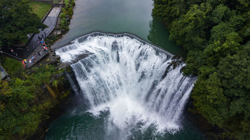 Scenic view of waterfall in forest