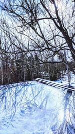 Snow covered bare trees against sky