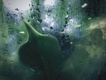 Close-up of raindrops on glass window