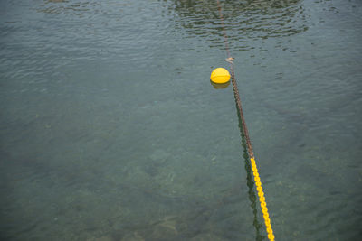 Close-up of yellow water