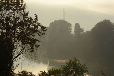 Silhouette trees against sky at foggy weather