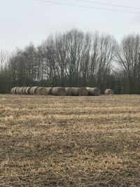 Hay bales on field against sky