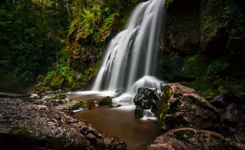 Scenic view of waterfall in forest