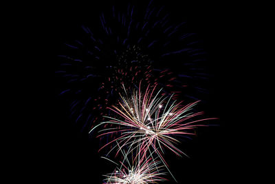 Low angle view of firework display at night