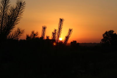 Silhouette trees on landscape against sky at sunset