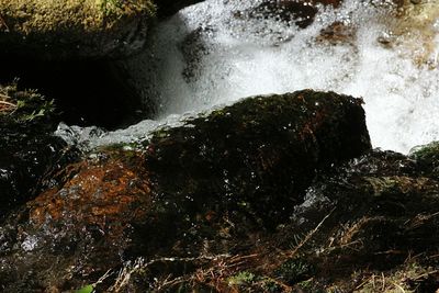 Close-up of rocks in water