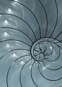 Full frame shot of spiral staircase