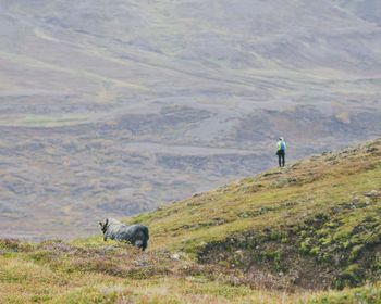 Rear view of man with dog standing on mountain