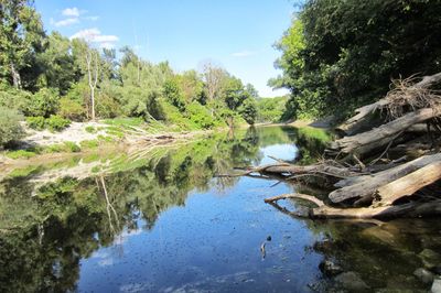 Scenic view of lake in forest against sky