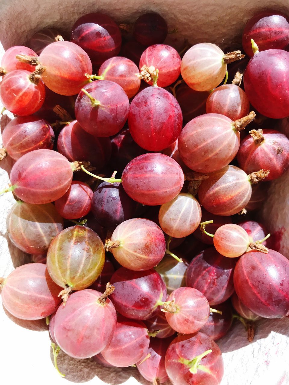 HIGH ANGLE VIEW OF FRUITS IN CONTAINER