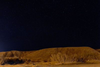 Low angle view of star field against sky at night