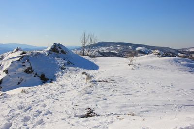 Scenic view of landscape against clear blue sky