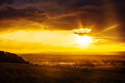 Sunset over landscape