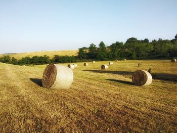 Hay bales on field against clear sky