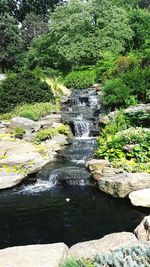 Shadow of trees on rock