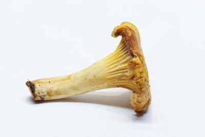 Close-up of bread against white background