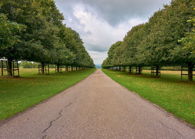 Road amidst trees against sky