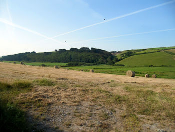 Scenic view of field against sky