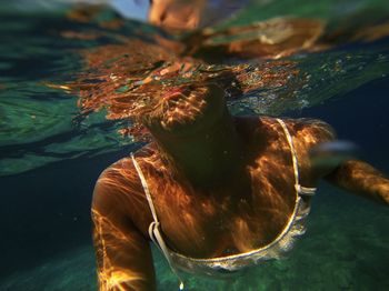 Close-up of jellyfish swimming in water