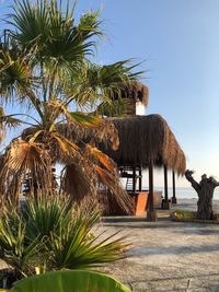 Palm trees on beach against clear sky