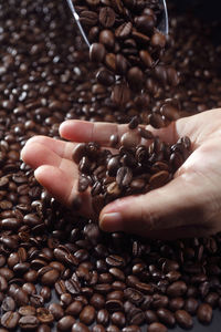 Cropped hand holding roasted coffee beans