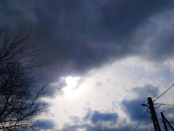 Low angle view of tree against sky