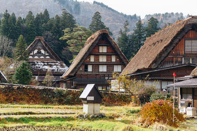 House amidst trees and buildings in forest