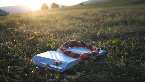 Bible in the sunlight with scout scarf